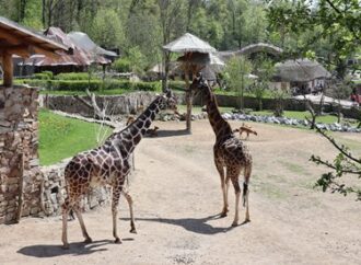 Do zoologické zahrady v Jihlavě 365 dní v roce
