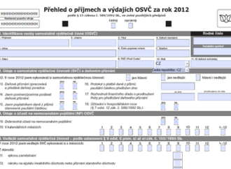 Přehled o příjmech a výdajích za rok 2012