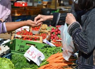 Malé a příležitostné výdělky z pohledu daně z příjmů