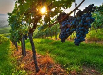 Pozemky z pohledu daně z příjmů