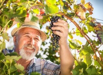 Podnikání bez živnosti – je to možné?